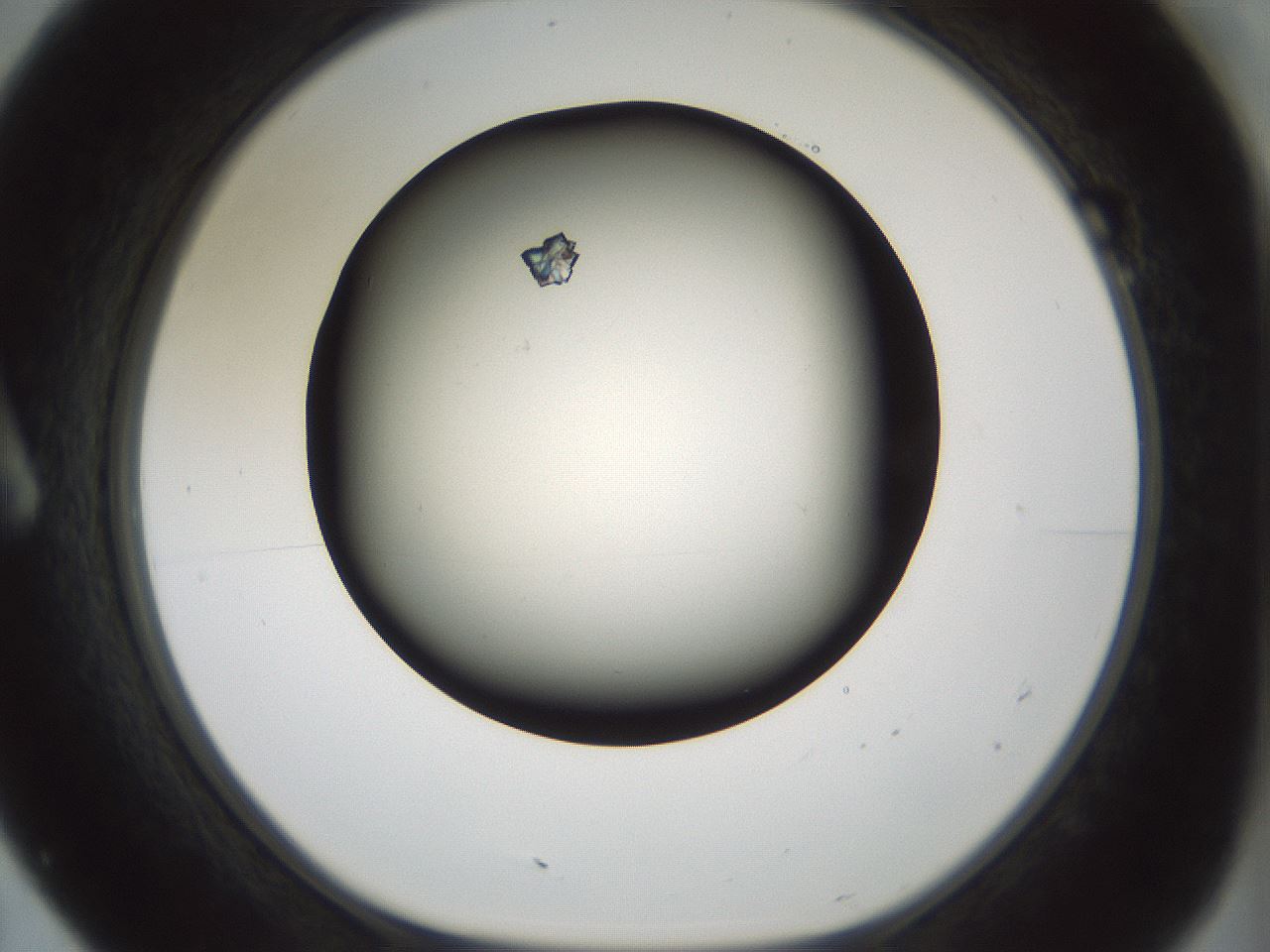 folderID354_plateID1354_batchID4707_wellNum7_profileID1_d1_r81618_ef.jpg