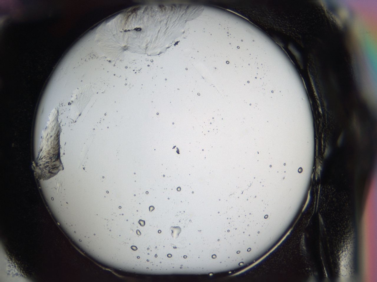 03k4_E5_ImagerDefaults_8.jpg