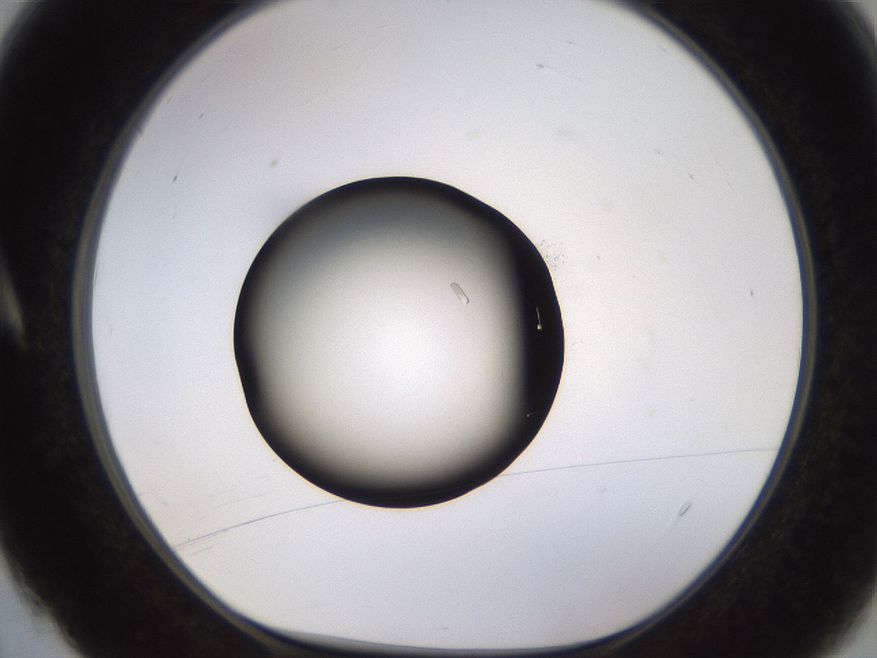 folderID455_plateID2455_batchID14084_wellNum4_profileID1_d1_r219888_ef.jpg