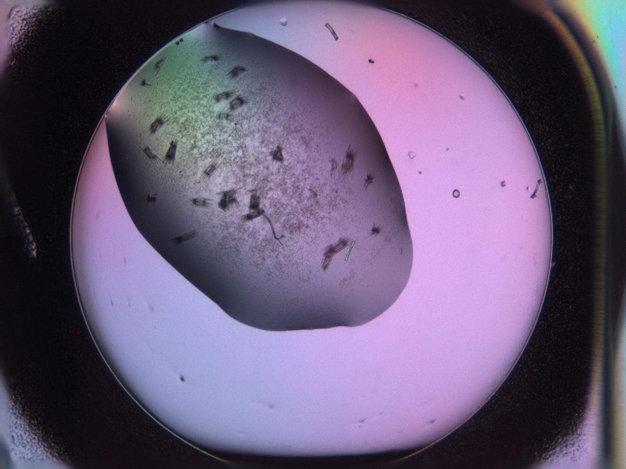 03k4_A8_ImagerDefaults_7.jpg