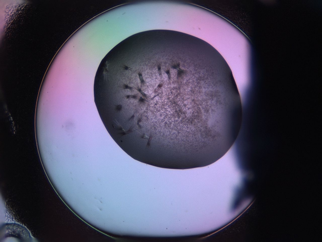 03k4_A10_ImagerDefaults_6.jpg