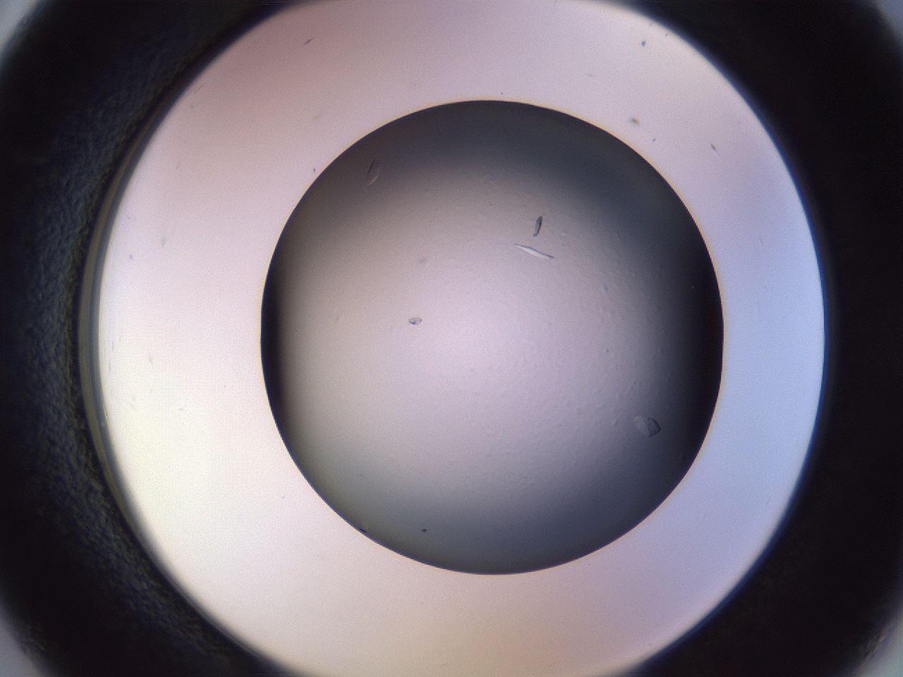 folderID470_plateID1470_batchID5612_wellNum26_profileID1_d2_r93016_ef.jpg