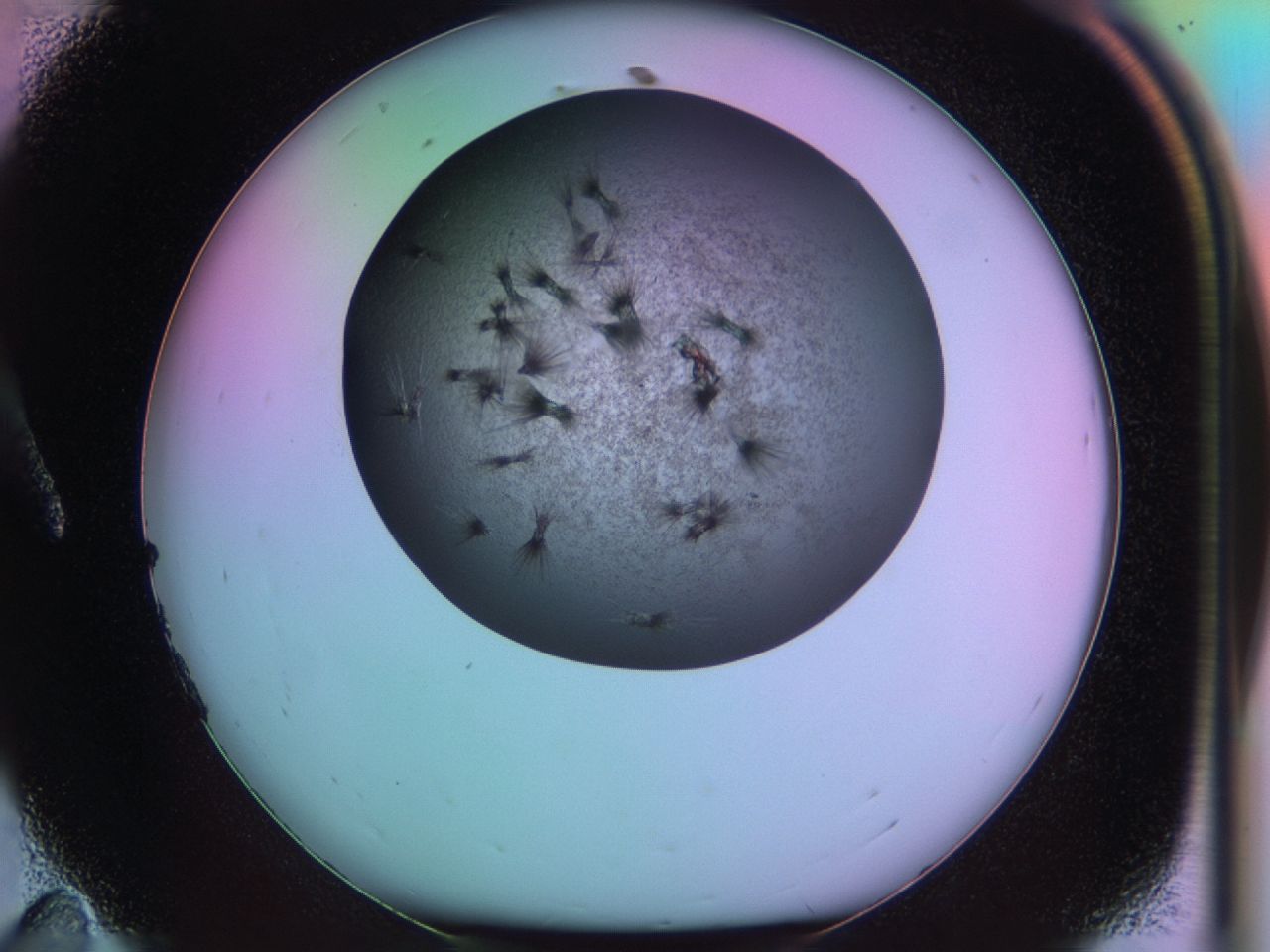 03k4_A11_ImagerDefaults_6.jpg