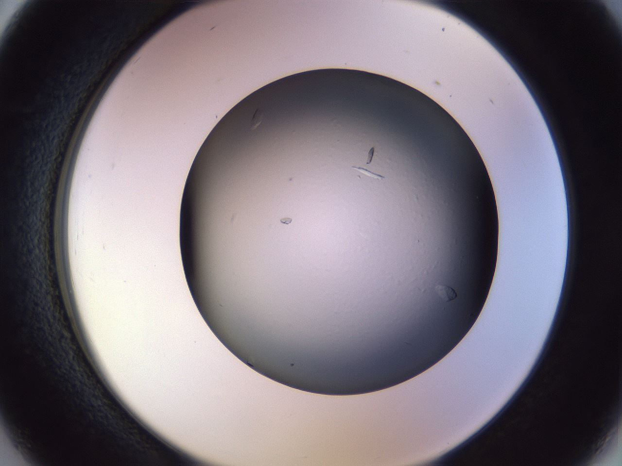 folderID470_plateID1470_batchID5625_wellNum26_profileID1_d2_r93016_ef.jpg