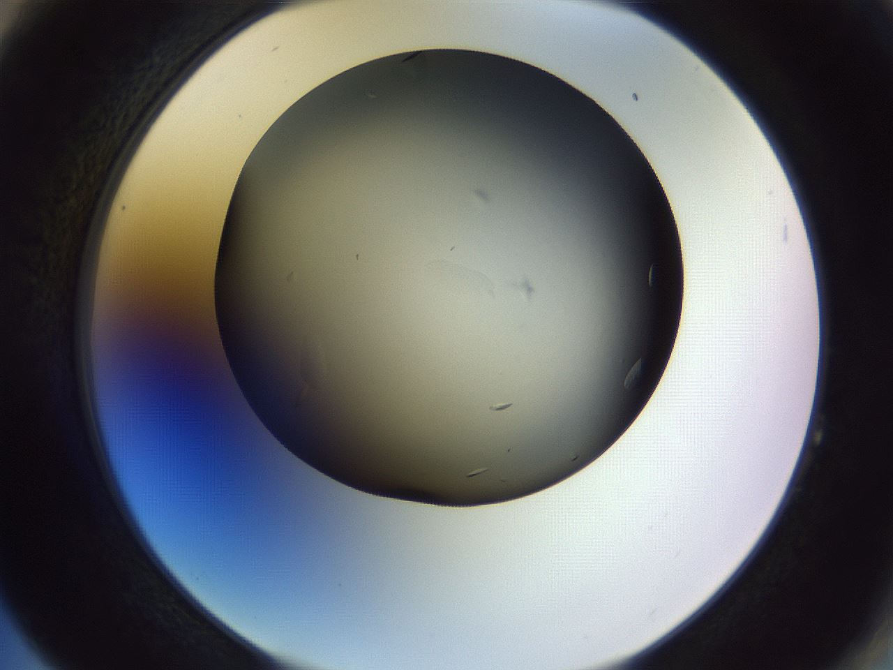 folderID470_plateID1470_batchID5636_wellNum64_profileID1_d2_r93092_ef.jpg