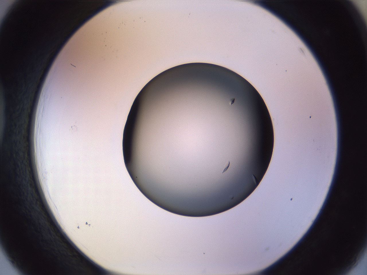 folderID470_plateID1470_batchID5701_wellNum39_profileID1_d1_r93041_ef.jpg