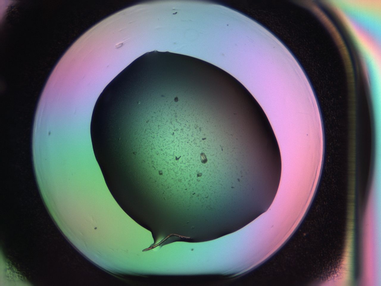 03k4_F6_ImagerDefaults_6.jpg