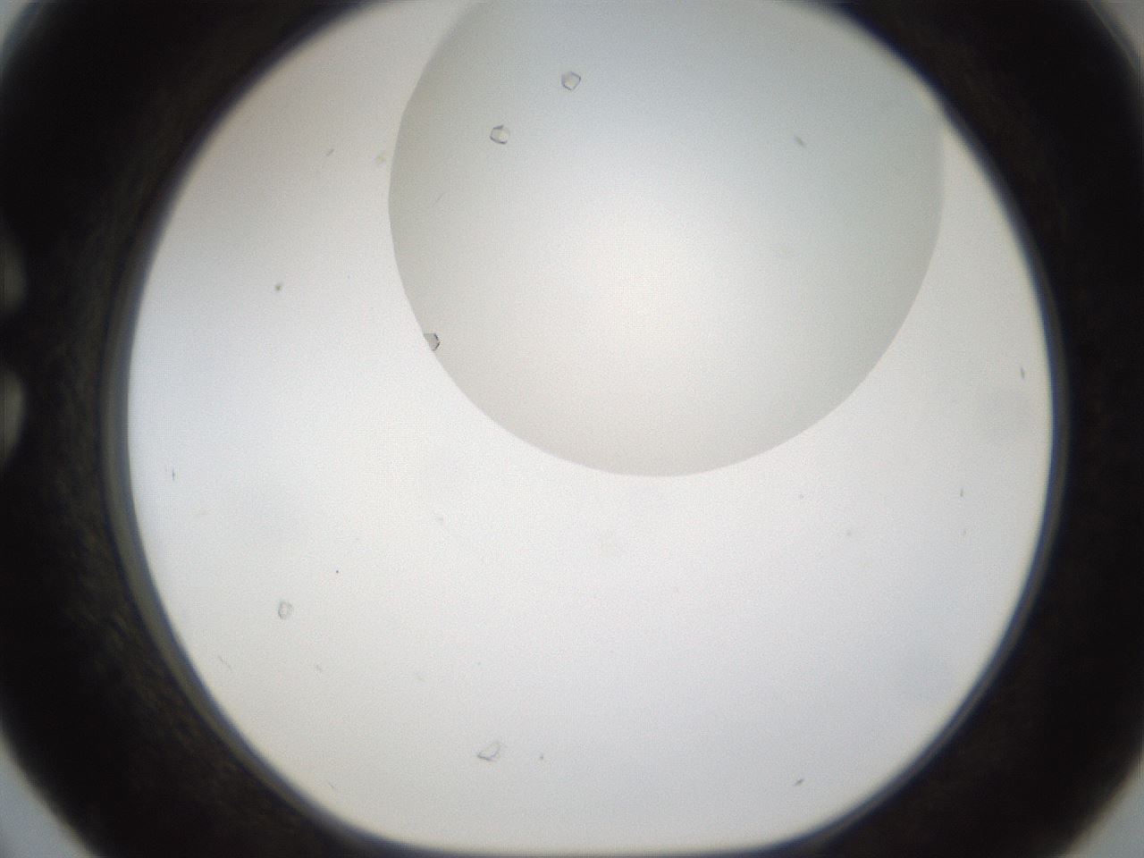 folderID158_plateID1158_batchID3207_wellNum30_profileID1_d1_r62873_ef.jpg