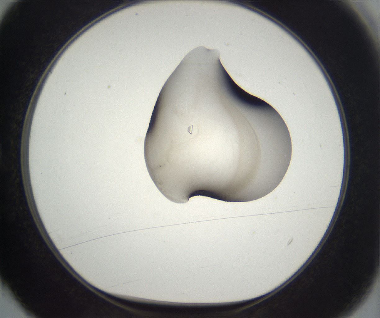 folderID530_plateID2530_batchID12530_wellNum4_profileID1_d1_r191146_ef.jpg