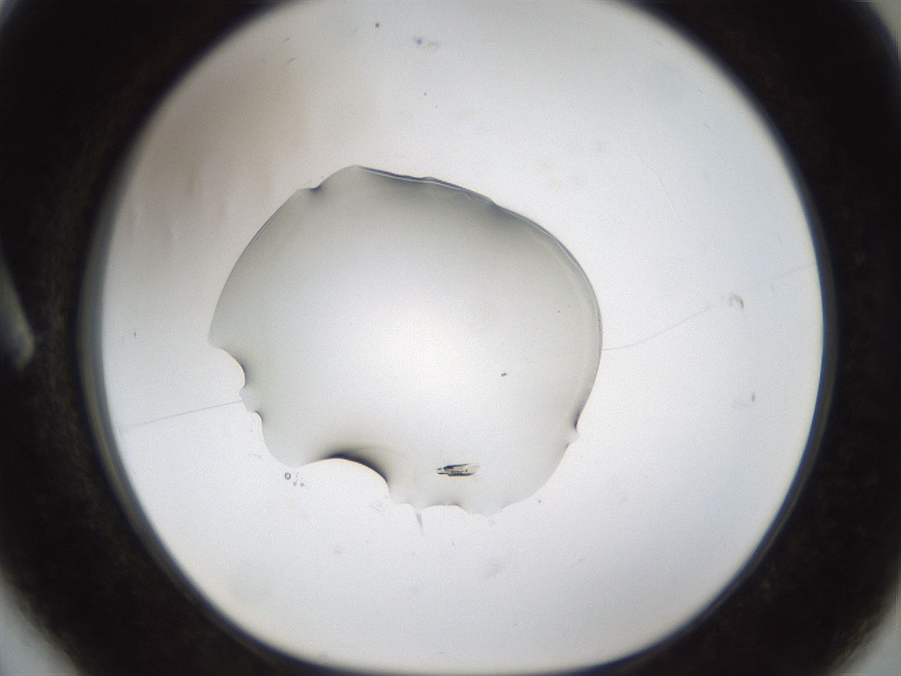 folderID54_plateID1054_batchID2252_wellNum6_profileID1_d1_r47414_ef.jpg