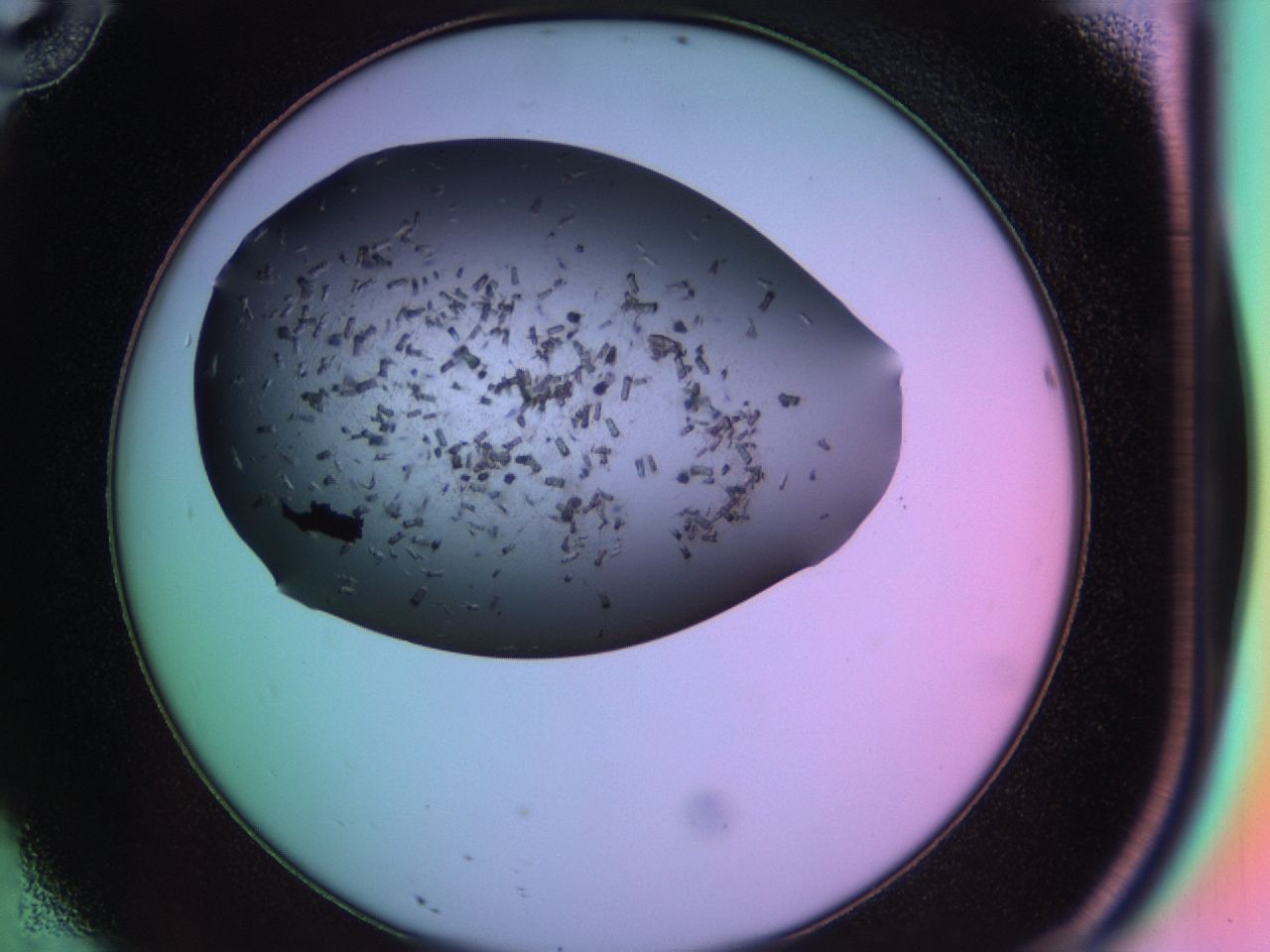 03k6_D10_ImagerDefaults_6.jpg