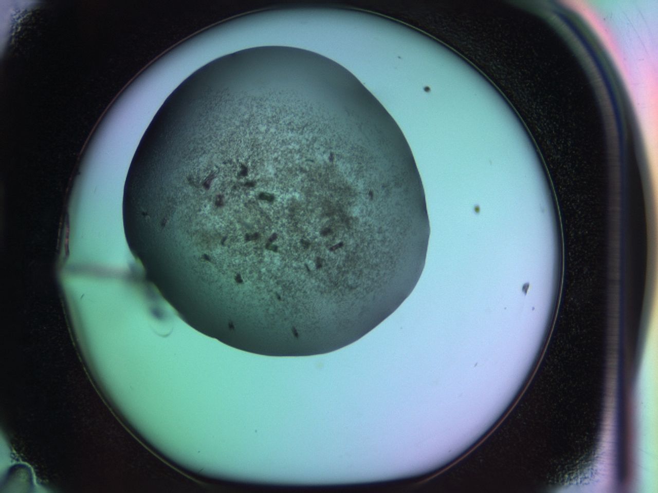03k6_D11_ImagerDefaults_6.jpg