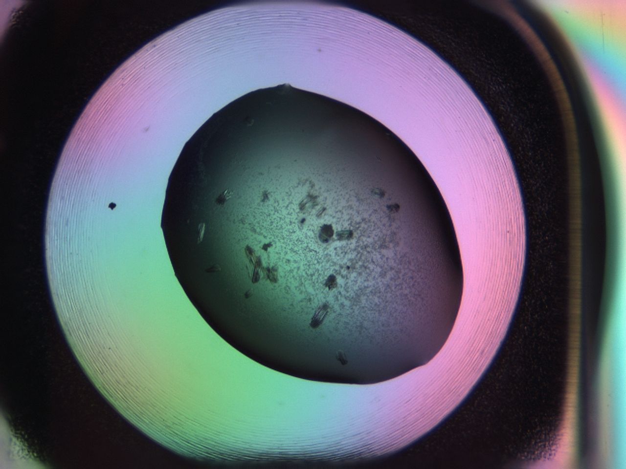 03k6_F5_ImagerDefaults_6.jpg