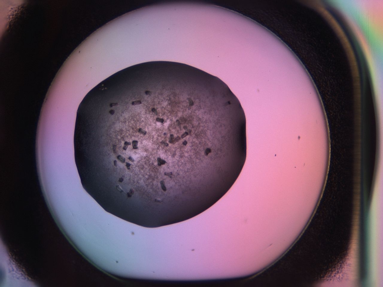 03k6_D7_ImagerDefaults_6.jpg