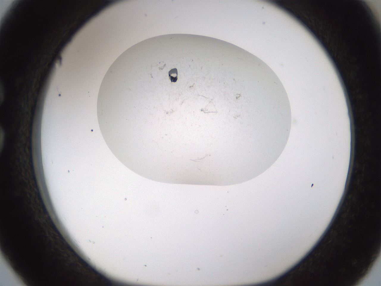 folderID199_plateID1199_batchID3487_wellNum26_profileID1_d1_r66200_ef.jpg