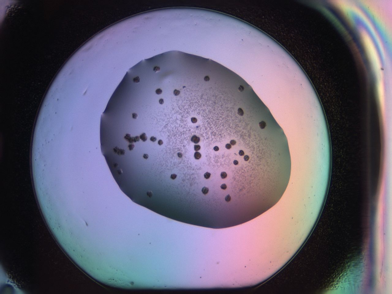 03k6_G11_ImagerDefaults_6.jpg