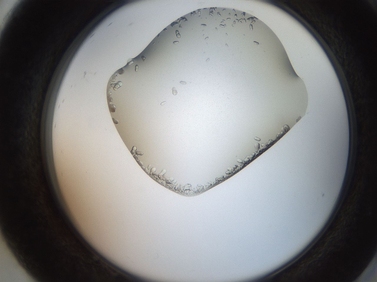 folderID205_plateID2205_batchID10007_wellNum92_profileID1_d2_r150126_ef.jpg