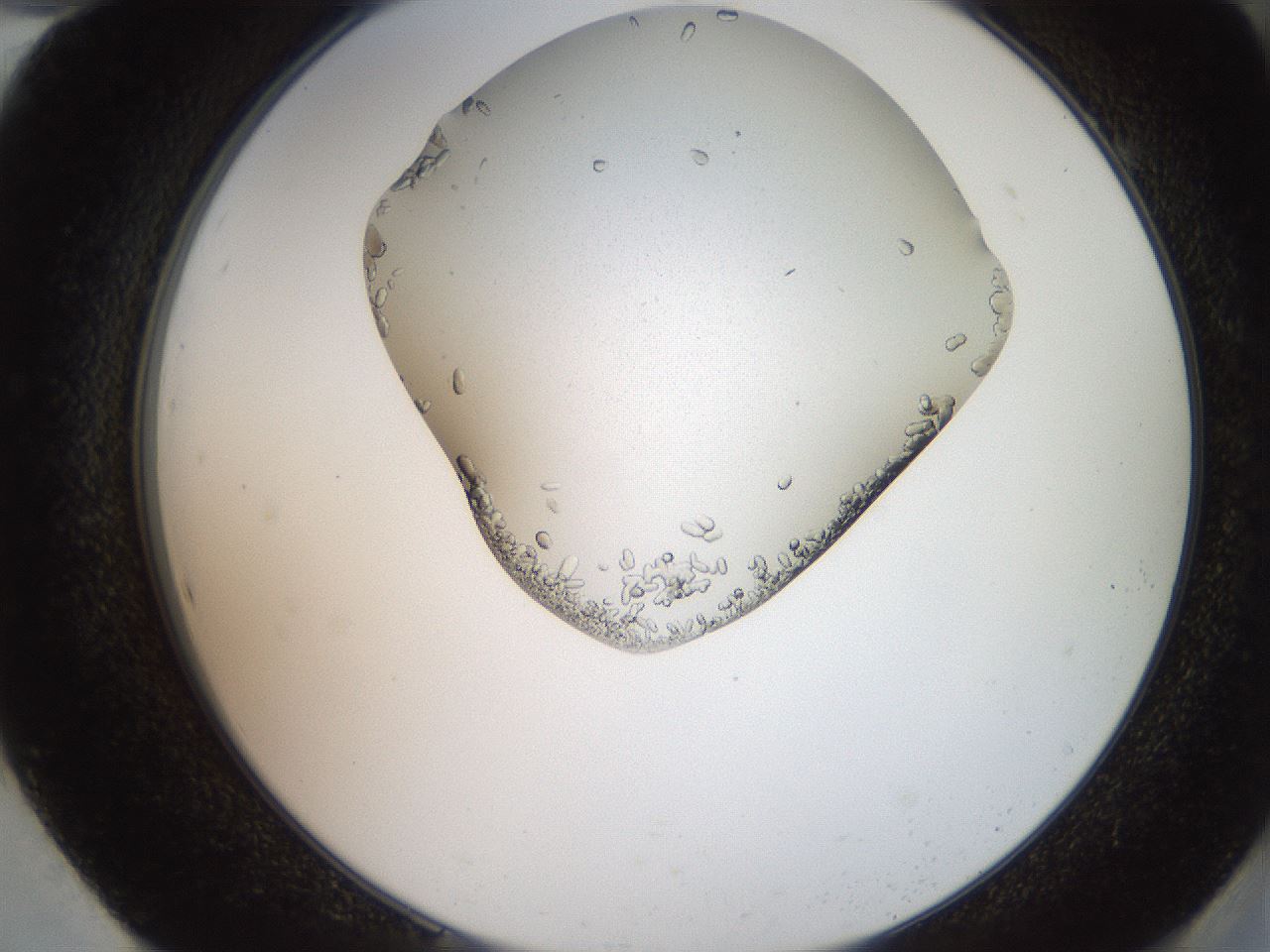 folderID205_plateID2205_batchID10007_wellNum94_profileID1_d2_r150130_ef.jpg