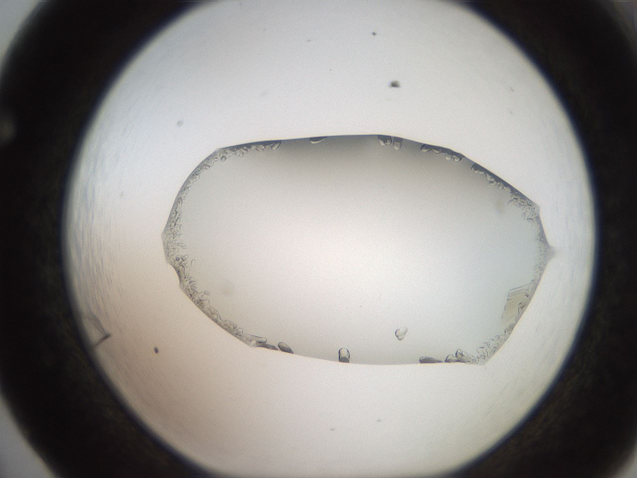 folderID206_plateID2206_batchID9998_wellNum65_profileID1_d1_r149879_ef.jpg