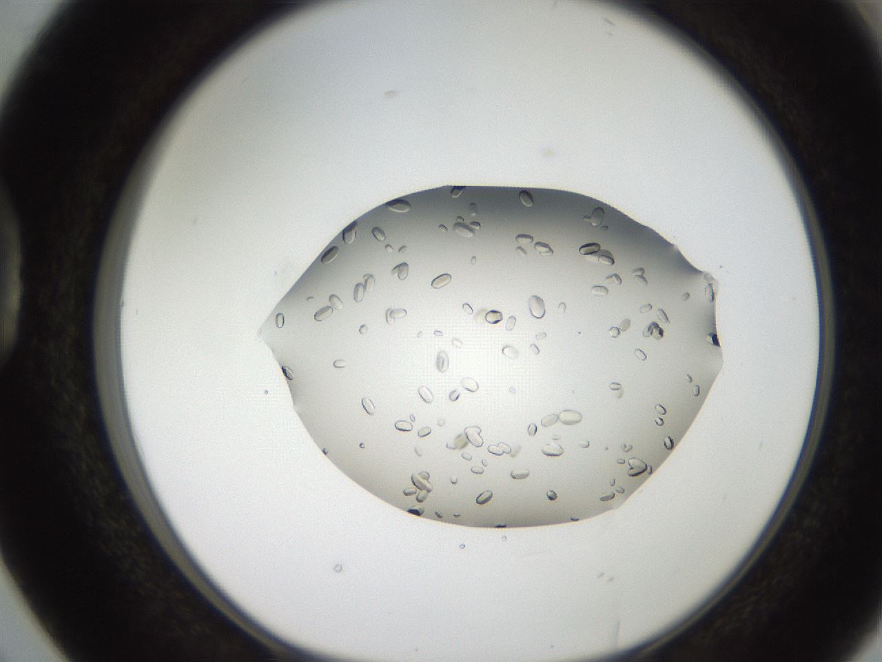 folderID207_plateID2207_batchID10014_wellNum38_profileID1_d1_r150209_ef.jpg