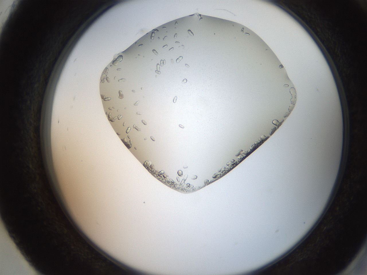 folderID205_plateID2205_batchID10007_wellNum93_profileID1_d2_r150128_ef.jpg