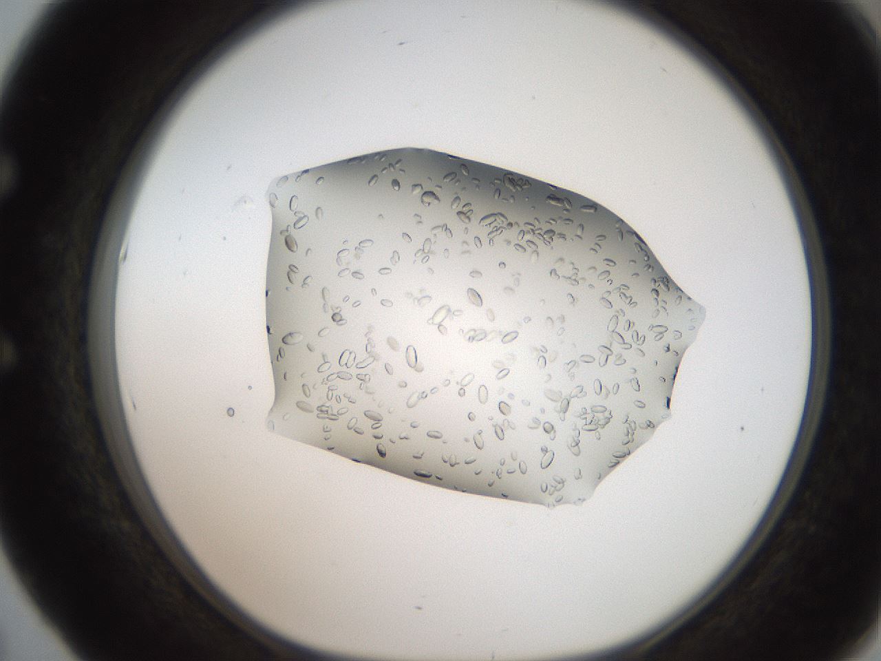 folderID207_plateID2207_batchID10014_wellNum53_profileID1_d1_r150239_ef.jpg