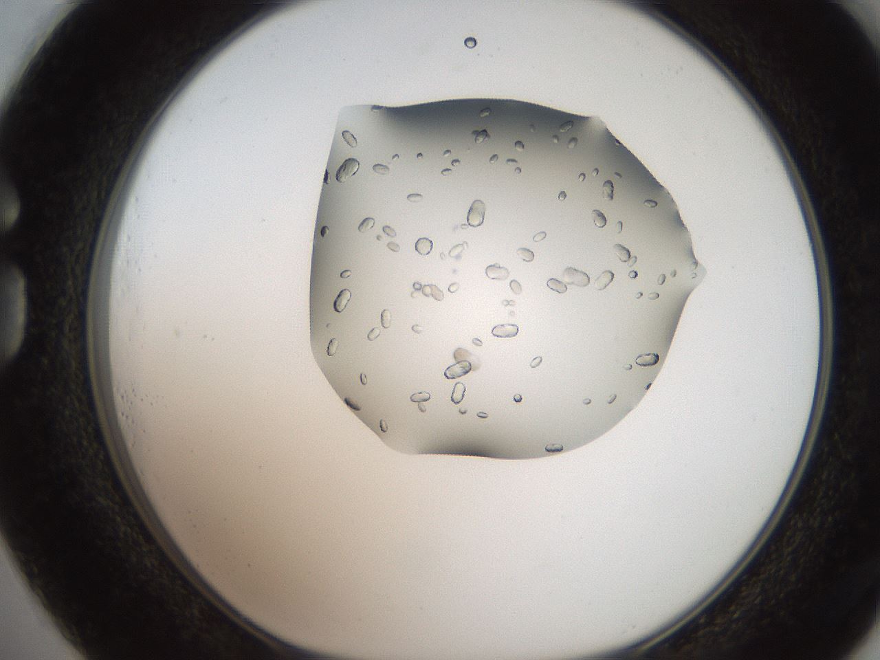 folderID207_plateID2207_batchID10014_wellNum73_profileID1_d1_r150279_ef.jpg