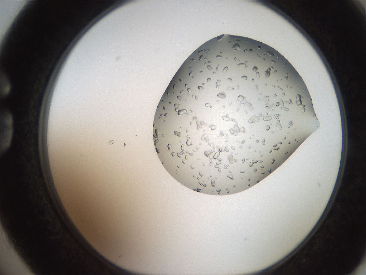 folderID207_plateID2207_batchID10014_wellNum74_profileID1_d1_r150281_ef.jpg