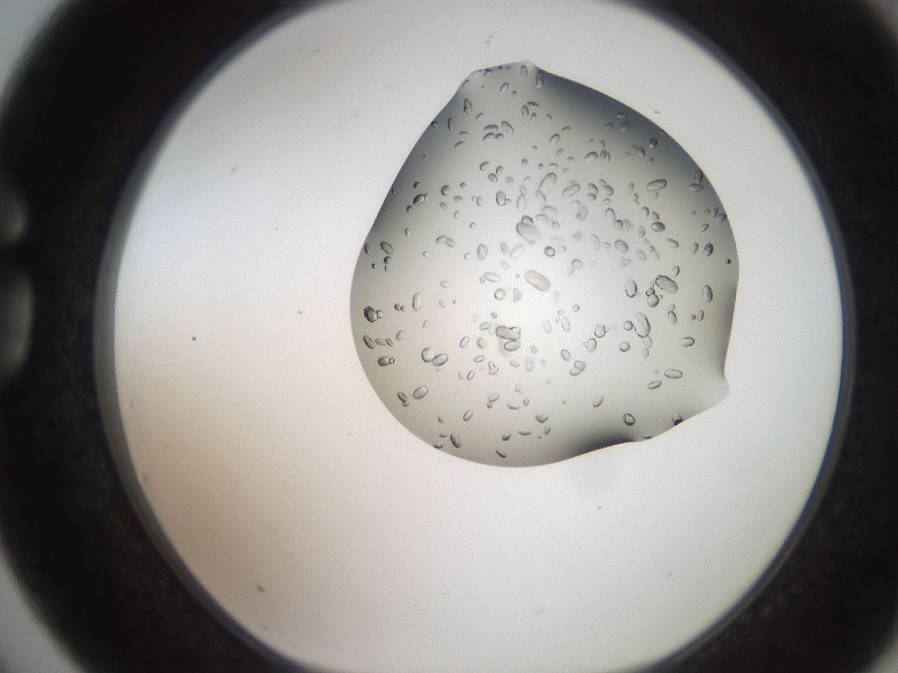 folderID207_plateID2207_batchID10014_wellNum75_profileID1_d1_r150283_ef.jpg