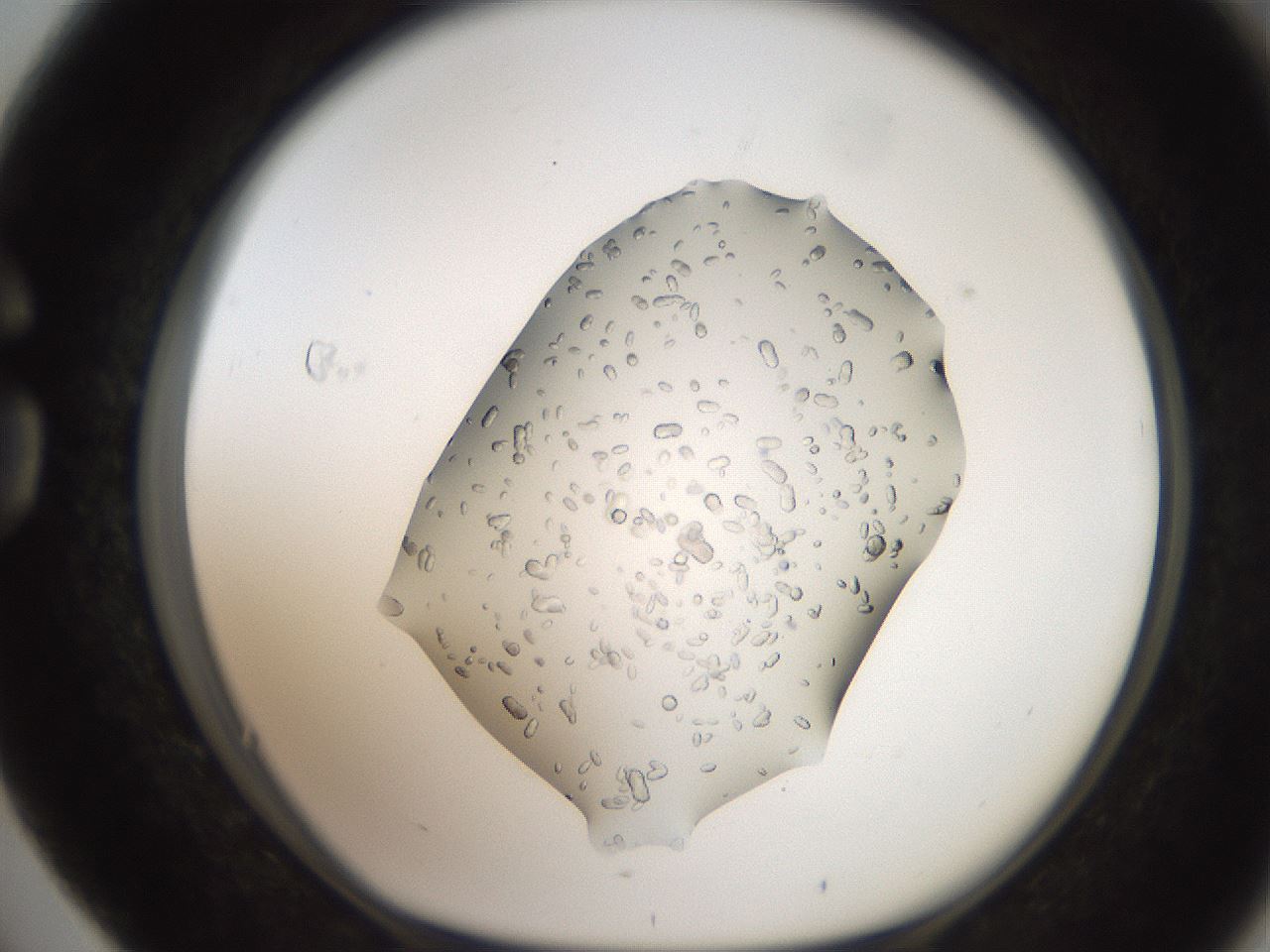 folderID207_plateID2207_batchID10014_wellNum76_profileID1_d1_r150285_ef.jpg