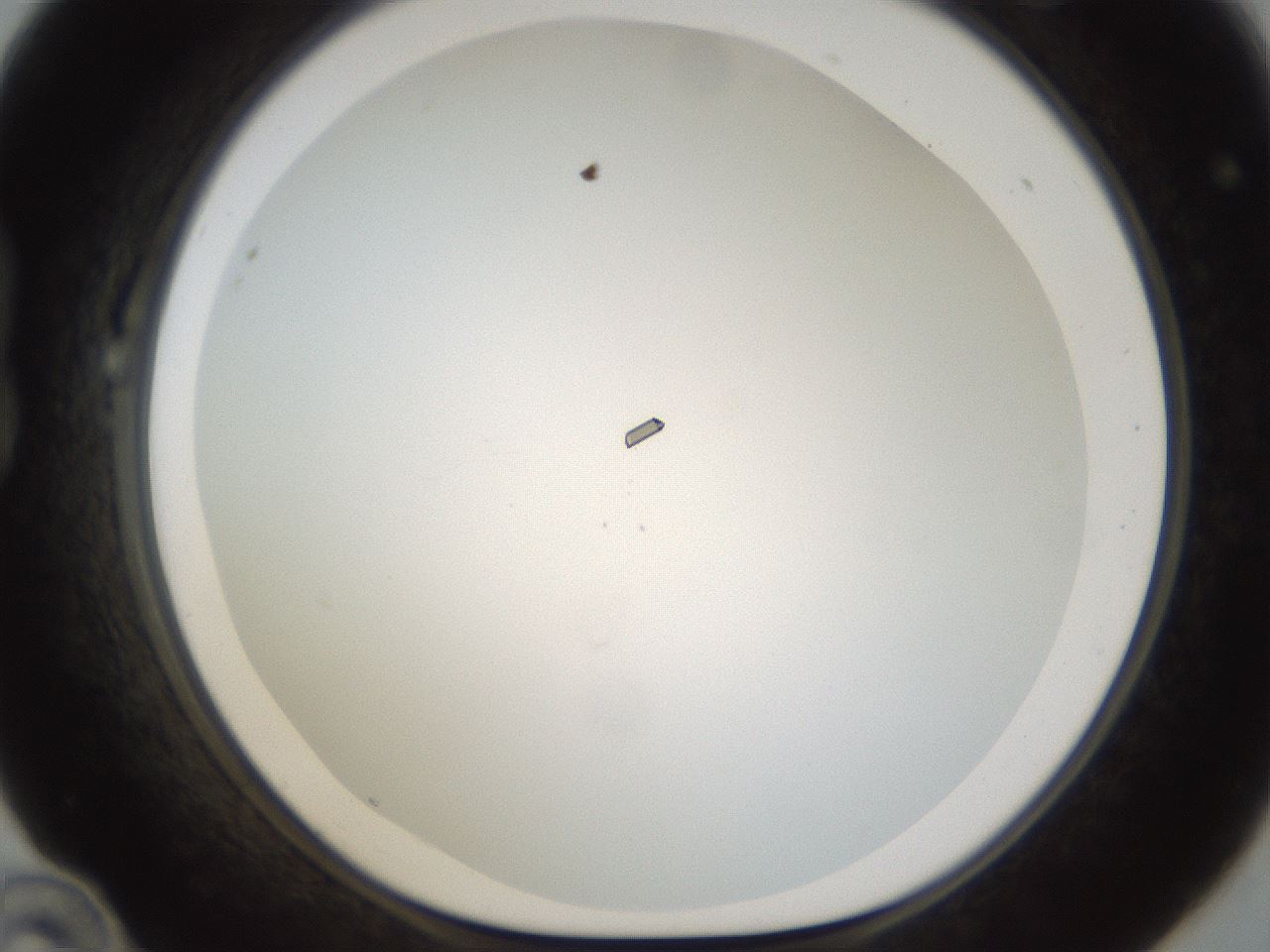 folderID212_plateID1212_batchID3657_wellNum22_profileID1_d1_r68426_ef.jpg