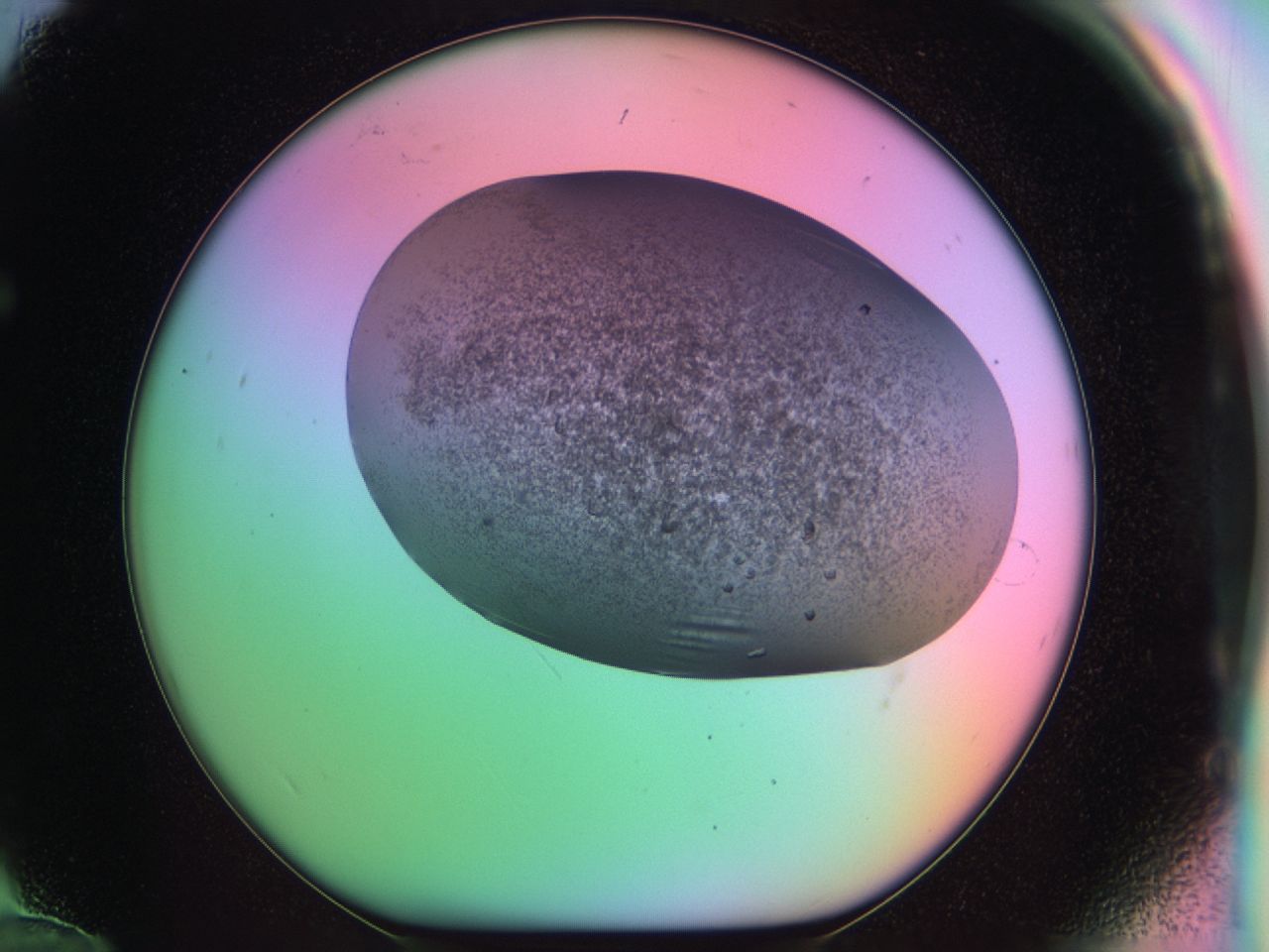 03k8_F12_ImagerDefaults_6.jpg
