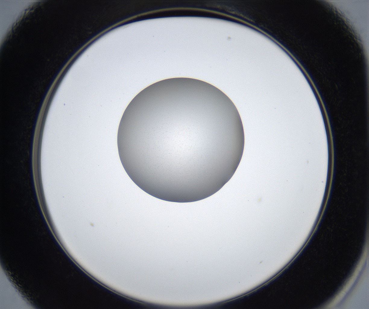 folderID631_plateID2631_batchID13261_wellNum13_profileID1_d2_r208835_ef.jpg
