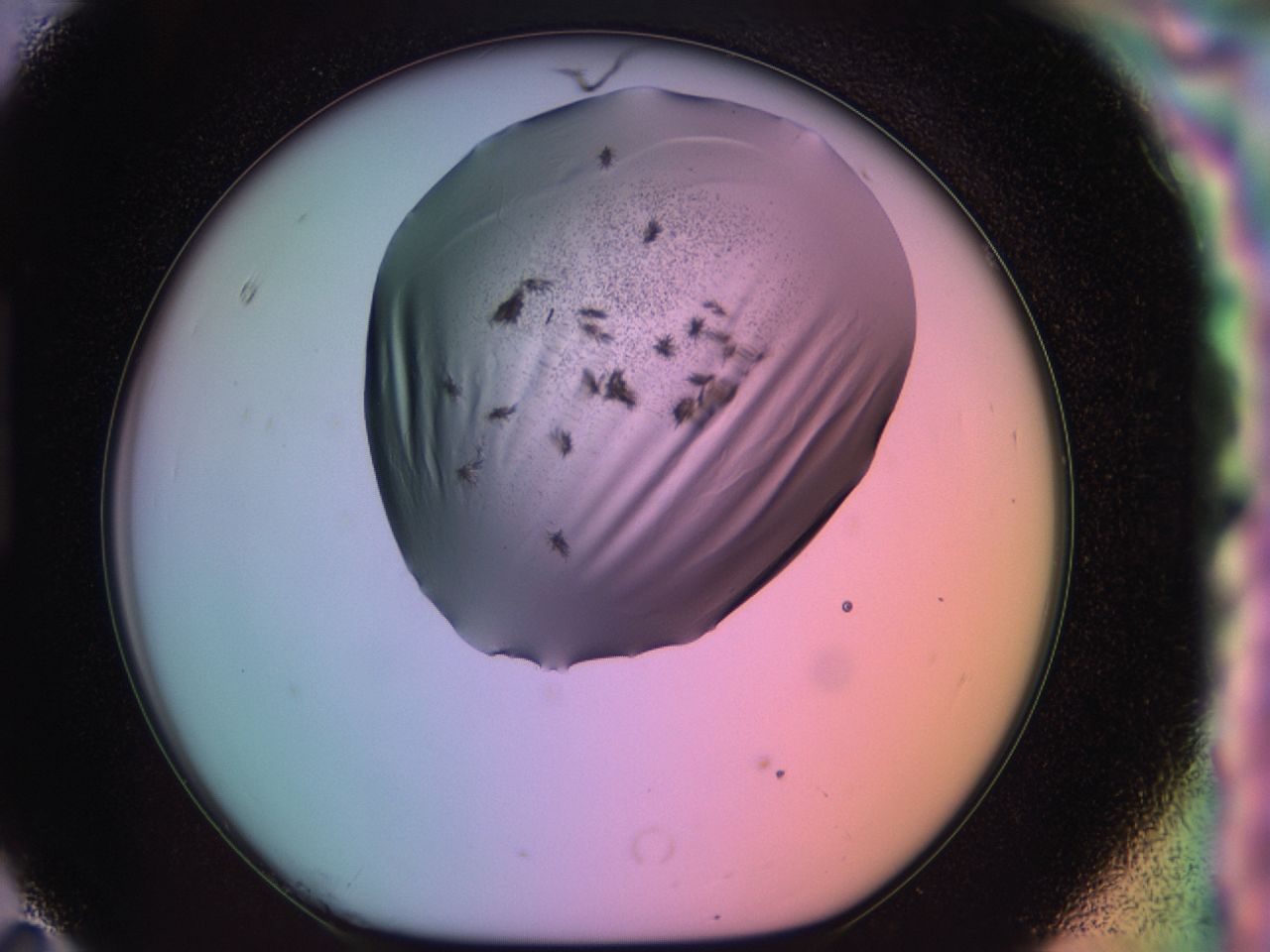 03k8_H11_ImagerDefaults_6.jpg