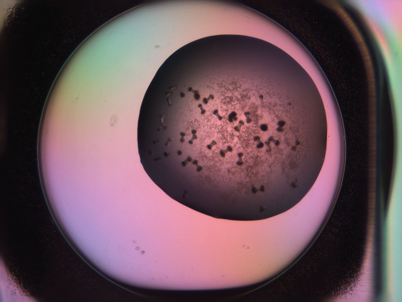 03kb_D2_ImagerDefaults_6.jpg
