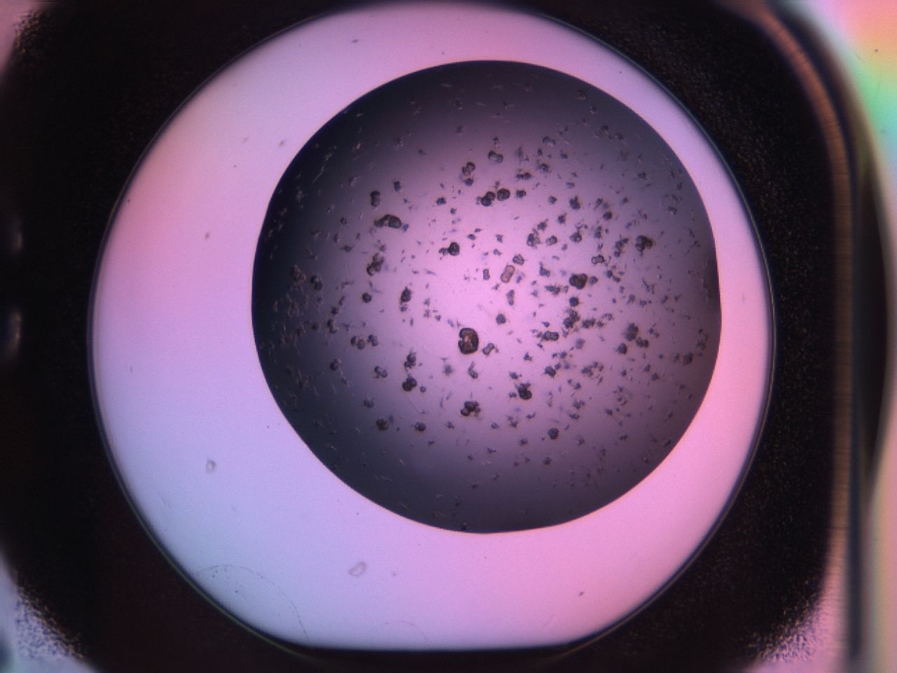 03kb_C6_ImagerDefaults_6.jpg