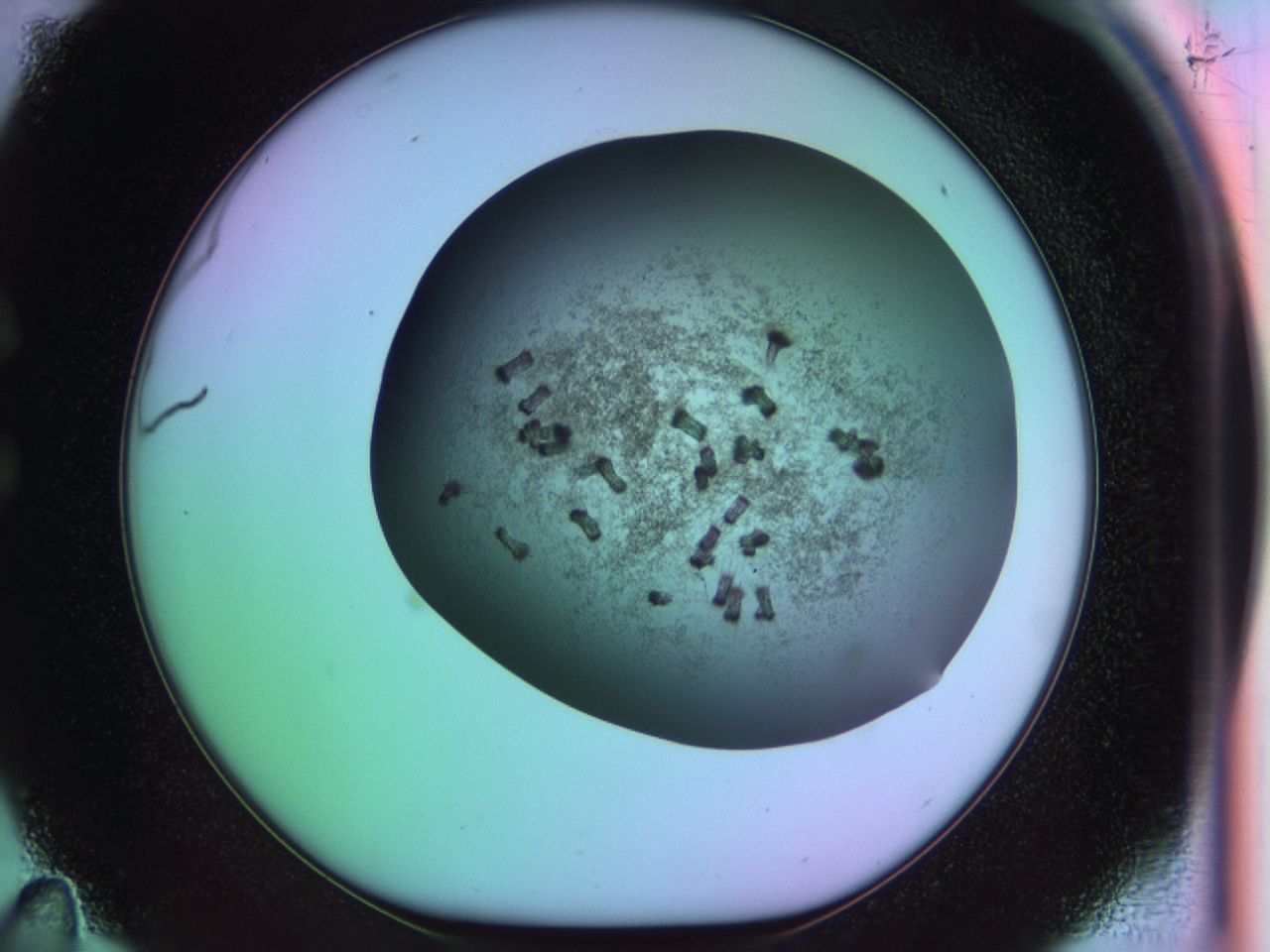 03kb_C11_ImagerDefaults_6.jpg