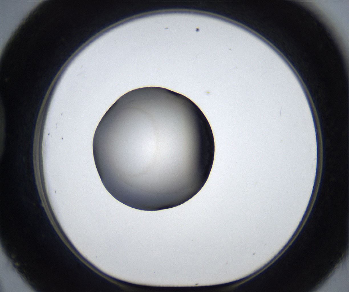 folderID633_plateID2633_batchID13264_wellNum45_profileID1_d1_r209090_ef.jpg
