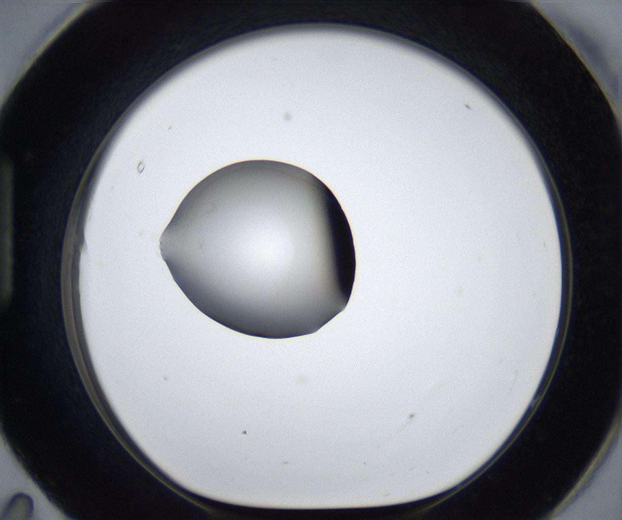 folderID633_plateID2633_batchID13264_wellNum95_profileID1_d1_r209190_ef.jpg