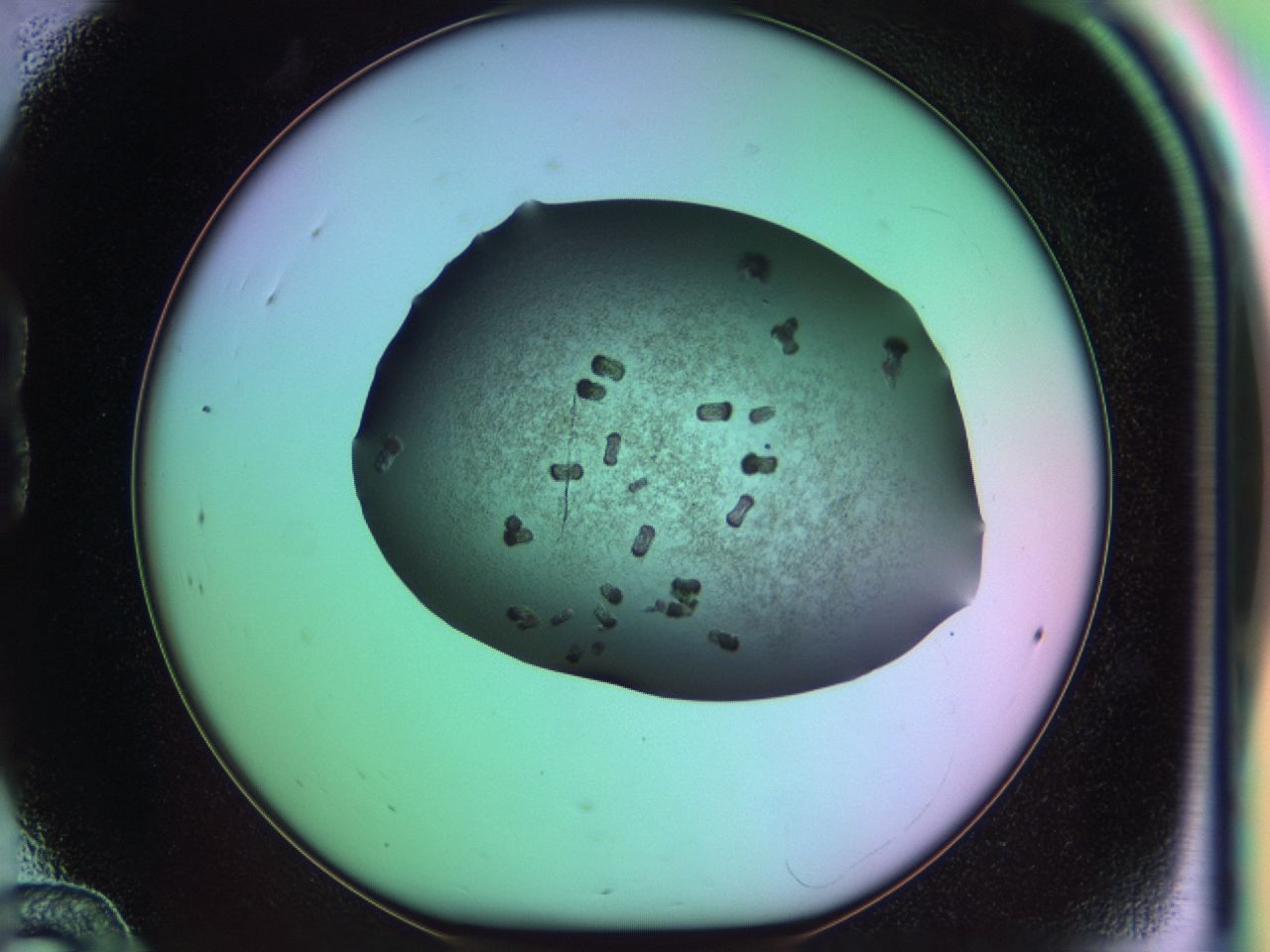 03kc_B12_ImagerDefaults_6.jpg