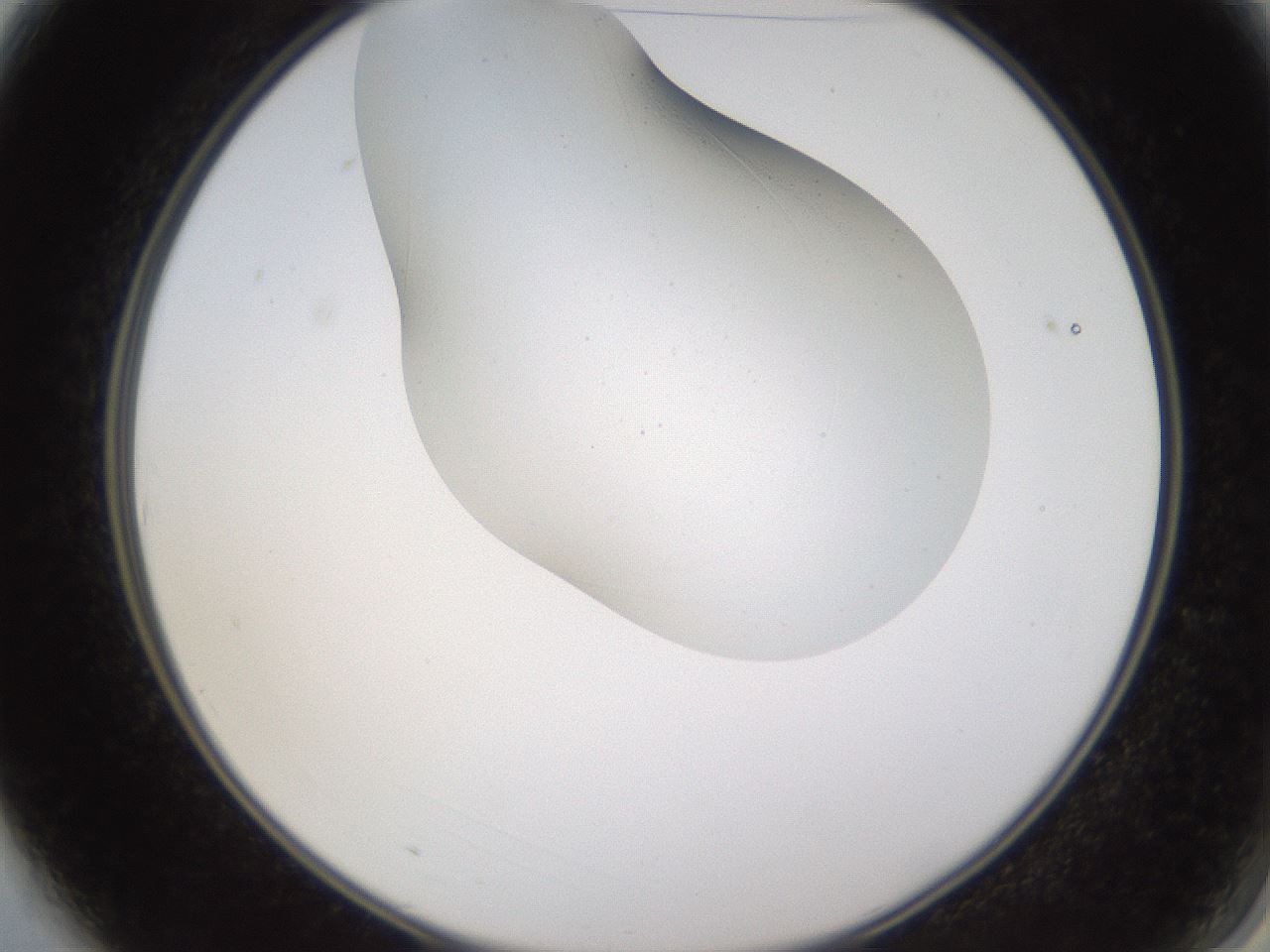 folderID635_plateID1635_batchID6835_wellNum3_profileID1_d2_r109432_ef.jpg