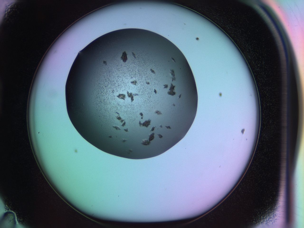 03kc_D11_ImagerDefaults_6.jpg