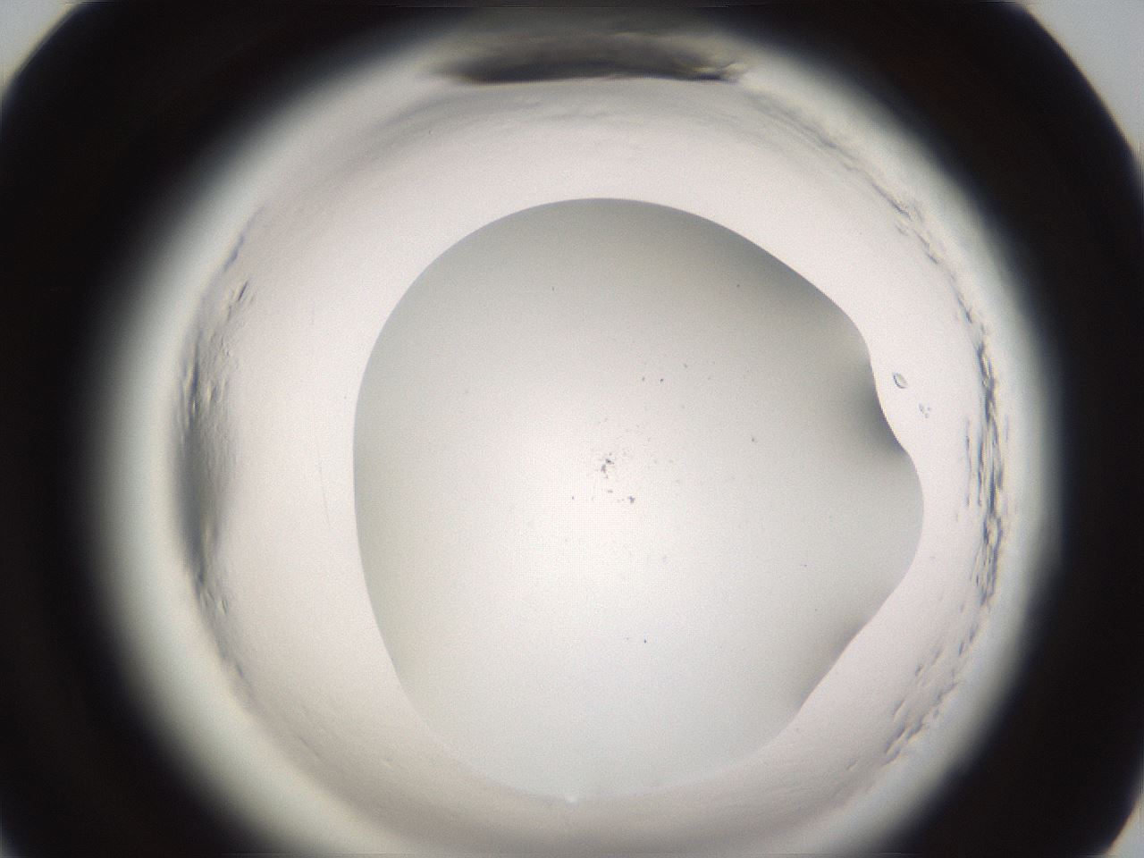folderID637_plateID2637_batchID13389_wellNum82_profileID1_d1_r214146_ef.jpg