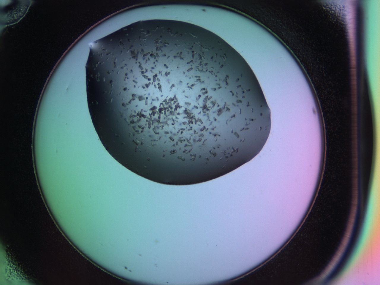 03kd_D10_ImagerDefaults_6.jpg