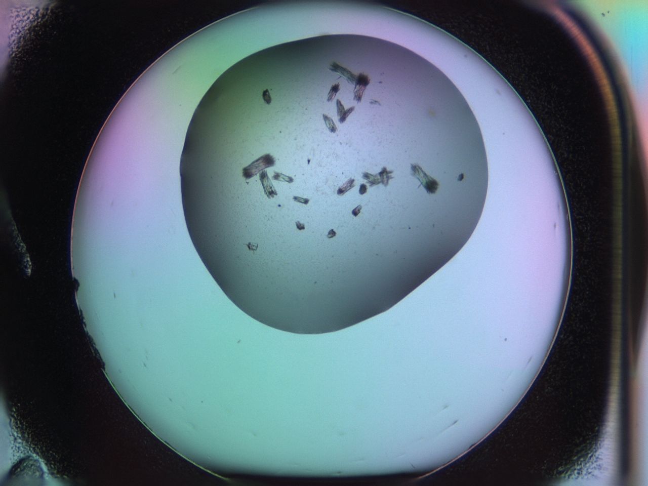 03kg_A11_ImagerDefaults_6.jpg