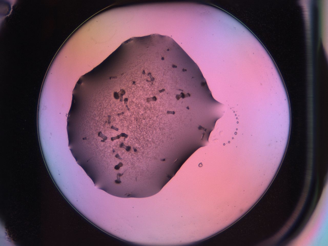 03kh_A2_ImagerDefaults_6.jpg