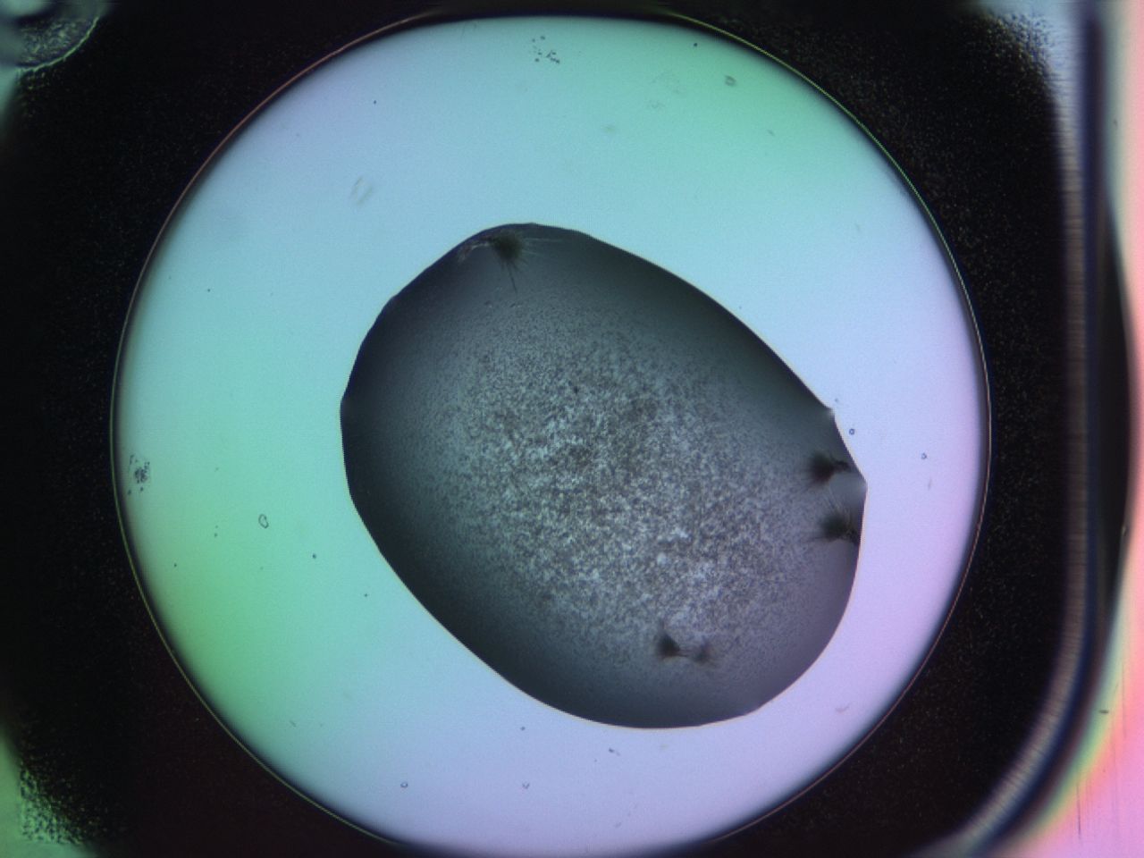 03kh_B10_ImagerDefaults_6.jpg