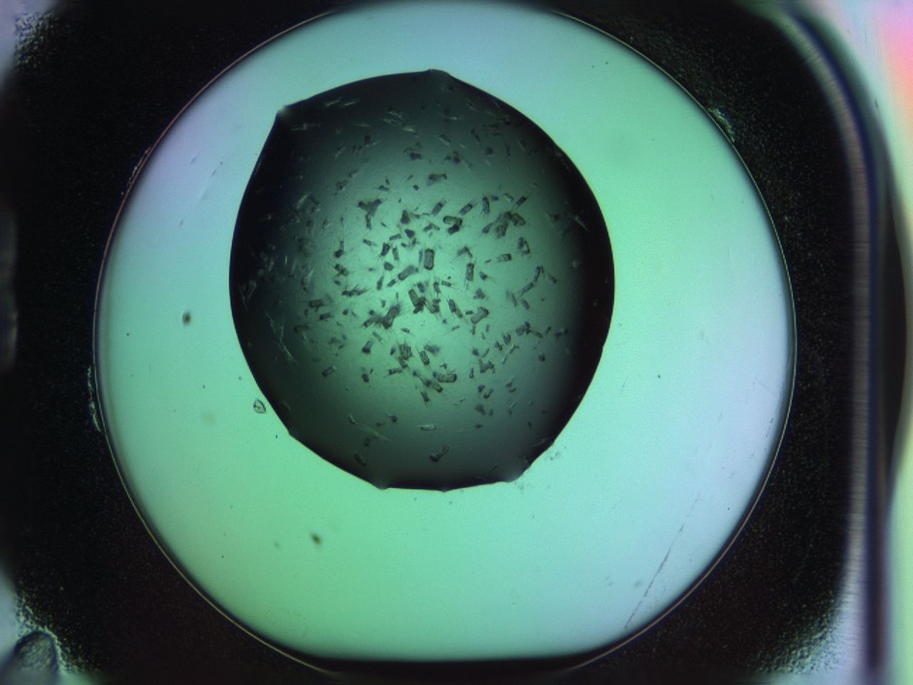 03kh_B11_ImagerDefaults_6.jpg