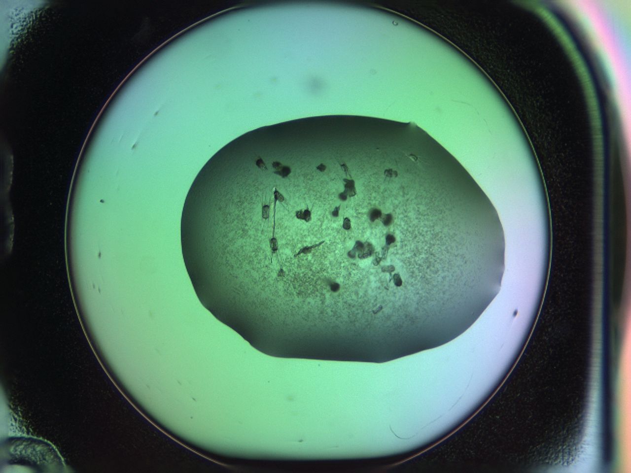 03kh_B12_ImagerDefaults_6.jpg