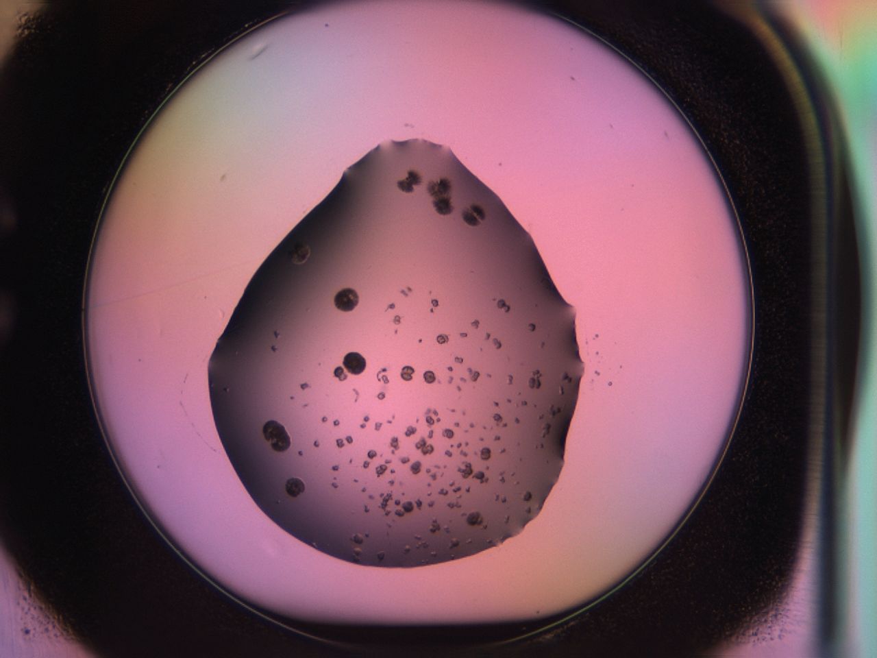 03kh_C1_ImagerDefaults_6.jpg
